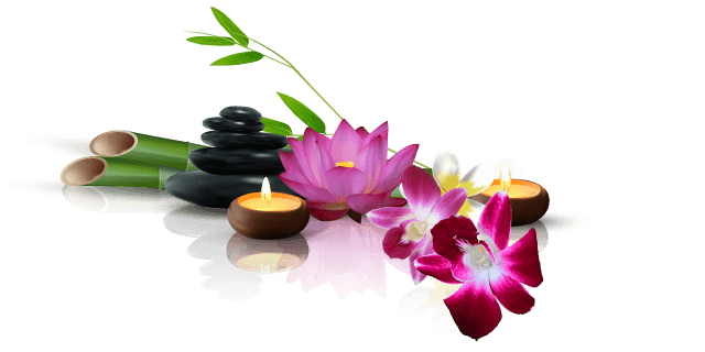 MG Massage ist authentische und hochwertige Thai-Massage Behandlung Thailands